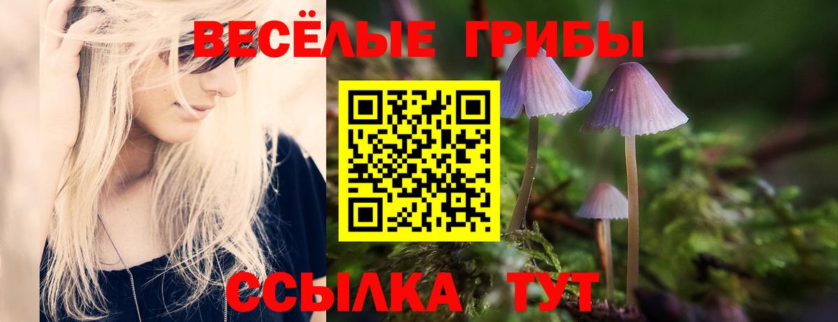 Волгоград  Псилоцибиновые грибы GOLDEN TEACHER  Вход с VPN 