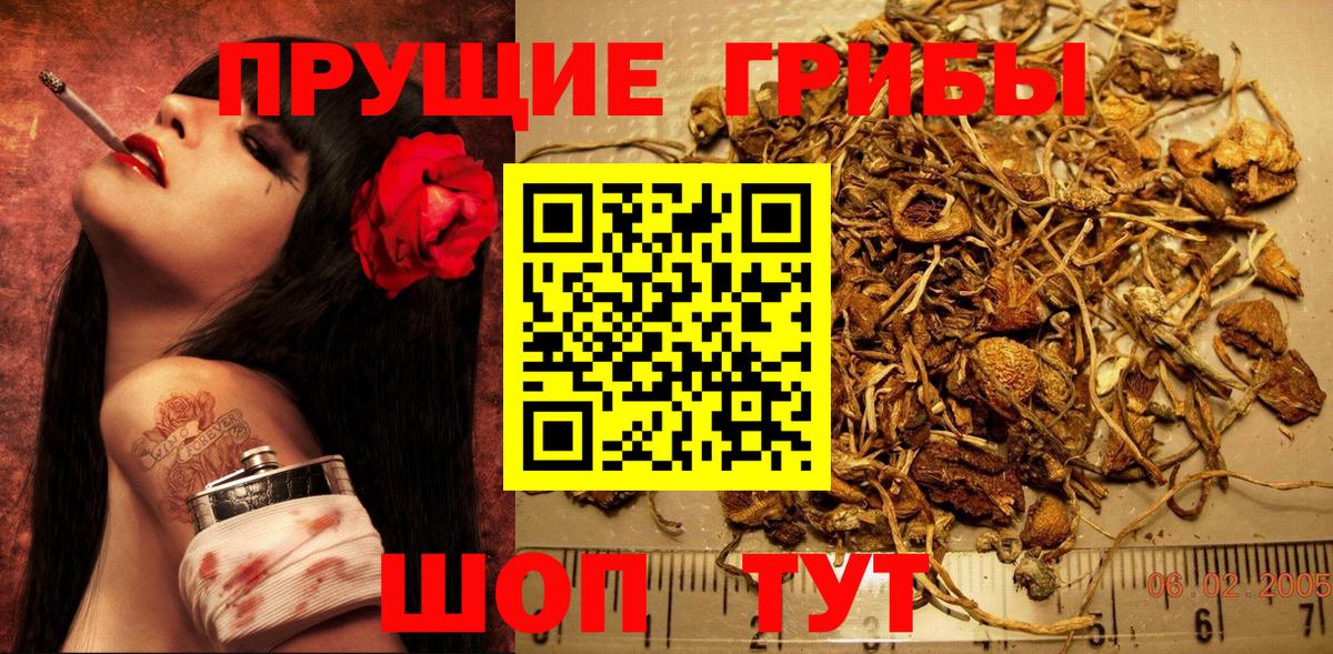 Псилоцибиновые грибы Cubensis Волгоград